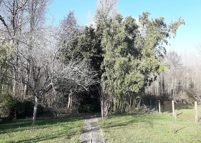 Les Guernouilles